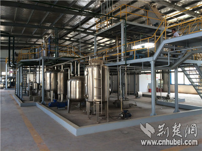 湖北省同心院士專家服務(wù)團服務(wù)獻智助企業(yè)創(chuàng)新發(fā)展